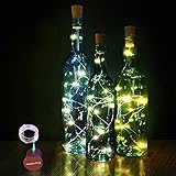 KOBWA 室内飾りLEDライト 装飾1メートル 10LED電球 イルミネーションライト定常 明滅 クリスマス 新年 誕生日 結婚式 パーティー飾り用