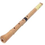 尺八 樹脂製 1尺8寸管 key D （完全調律尺八 悠)