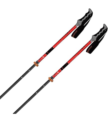 Amazon | 〔コンパーデル〕スキーストック ユニセックス カーボンプロ