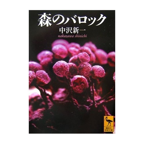 『嵐になるまで待って』