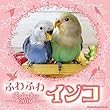 トライエックス ふわふわ インコ 2019年 祝日訂正シール付き カレンダー CL-374 壁掛け 48×24cm