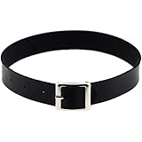 Jade Cherishレザー チョーカーchoker パンク メンズ レディース カラー