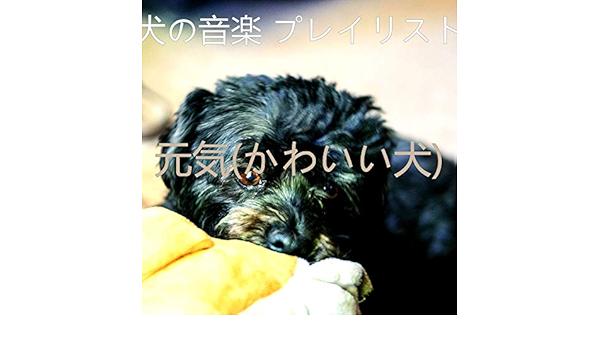 Amazon Music 犬の音楽 プレイリストの元気 かわいい犬 Amazon Co Jp