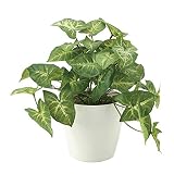 観葉植物 造花 「フレッシュカラージュームS 25cm」 光触媒(空気清浄) インテリアグリーン 鉢植え