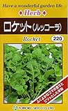 トーホク ロケット(ルッコーラ)