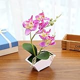 Zehui Potted人工植物シミュレートバタフライOrchid FlowerpotホームガーデンOffice付きウェディング装飾 パープル mhy-Ros180528-JJ-93ECA8B02A