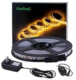 Guotong調光機能付きLEDライトストリップキットwith UL Listed電源供給、300単位SMD 2835 LED、16.4 Ft / 5 m 12 V DC非防水性、LEDリボン、DIY