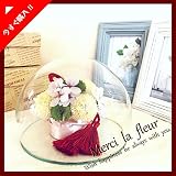 Merci la fleur ボトルフラワー 枯れないお花 赤