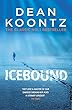 Icebound: A chilling thriller of a race against time