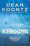 Icebound: A chilling thriller of a race against time