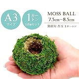 【資材苔玉Ａ３サイズ】資材苔玉　7.5～8.5cmの苔玉 (1カートン(168個セット))
