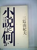 小説とは何か (1972年)