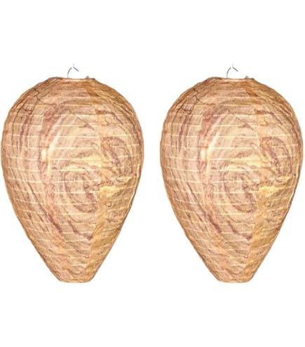 蜂の巣の太陽 Amazon | Neiang ハチの巣ガード 防水 3個セット 蜂の巣 ダミー