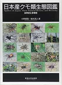 日本産クモ類生態図鑑 自然史と多様性 展嗣 小野 清人 緒方 本 通販 Amazon