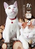 �����L2 �ڂ��̂��Z�����