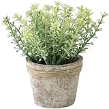 スパイス デコール イミテーション DECOR IMITATION CELERY TADY6030