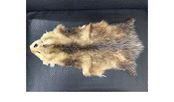 割引購入 格安 毛皮ジャケット オポッサム 毛皮 ファーコート Www Pastosbons Ma Gov Br