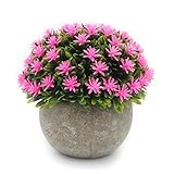 velener Miniプラスチック人工松ボールトピアリーPlant Pots for Home Decor (ピンクフラワー)