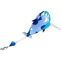 Amazon.co.jp: sharprepublic3Dクジラ凧フライングカイト