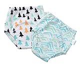 C-Princess ベビー トレーニングパンツ 2枚セット ショーツ ブリーフ おむつパンツ 下着 肌着 子供 赤ちゃん 幼児用 可愛い 4層 漏れにくい (100cm, B模様)