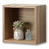 ビバホーム 壁掛けミニシェルフ ボックス20