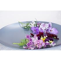 Amazon.co.jp: 【ビタミンカラー】明るいビタミンカラーミックス 40輪