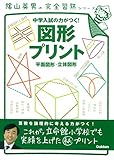 図形プリント (陰山英男の完全習熟シリーズ)