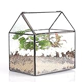 Geometric Terrarium ガラス ポリゴン ハング　田舎　ハウス形　幾何 ジオ　テラリウム 植木鉢 多肉植物 ミニ景観 盆栽 プランター モス 苔 コケ モストレ サボテン ファーン フ