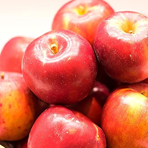 りんご 楽天市場】アップルパイ 林林檎 RINRINGO 5個入り 4箱セット