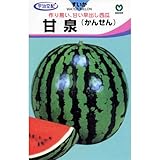 スイカ 種 【 甘泉 (かんせん) 】 種子 小袋（約9粒）