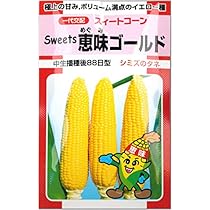 【700粒】ドルチェドリーム スイートコーン とうもろこし 黄白 種 たね Amazon.co.jp: 100粒 ドルチェドリーム スイートコーン