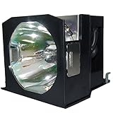 ET-LAD7700W OM ２灯セット パナソニック純正交換ランプ正規部品採用【輸出モデル】