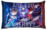 劇場版「名探偵コナン黒鉄の魚影（サブマリン）」 プレミアムアートクッション (キービジュアル)