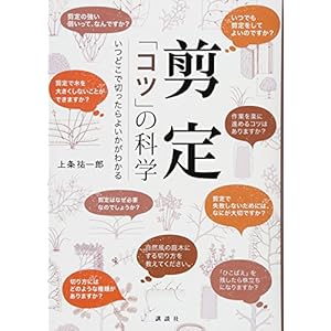 剪定 「コツ」の科学 いつどこで切ったらよいかがわかる 剪定 「コツ」の科学 いつどこで切ったらよいかがわかる