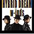 w-inds.「Rain Is Fallin'/HYBRID DREAM(初回盤B)」