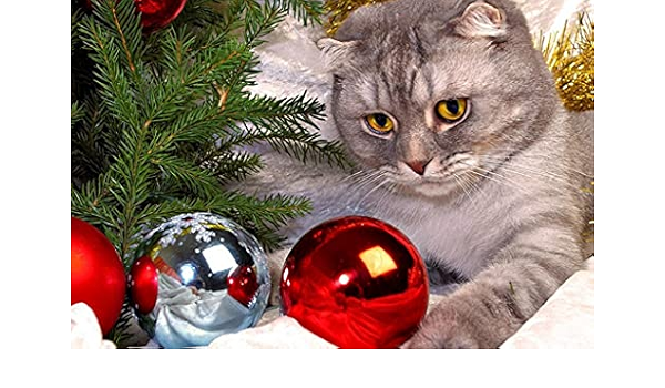 Amazon Co Jp 特大 ポスター 猫クリスマスおもちゃ厚い鼻 壁紙ウォールステッカーポスター 594x4mm ホーム キッチン