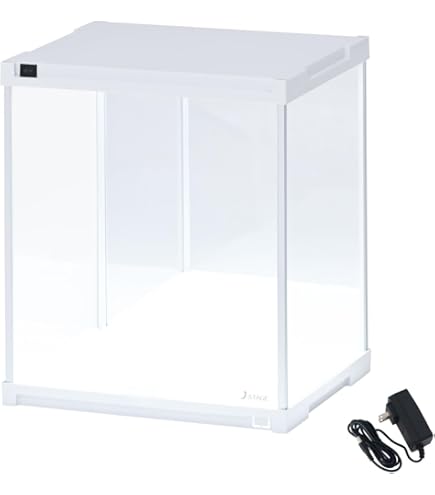 Amazon.co.jp: J-STAGE スタンダード レギュラータイプ フィギュア