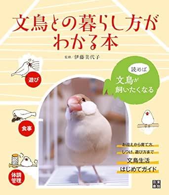 Amazon Co Jp 文鳥との暮らし方がわかる本 Ebook 伊藤 美代子 本