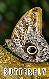 ิBUTTERFLY PHOTOGRAPHY (English Edition)