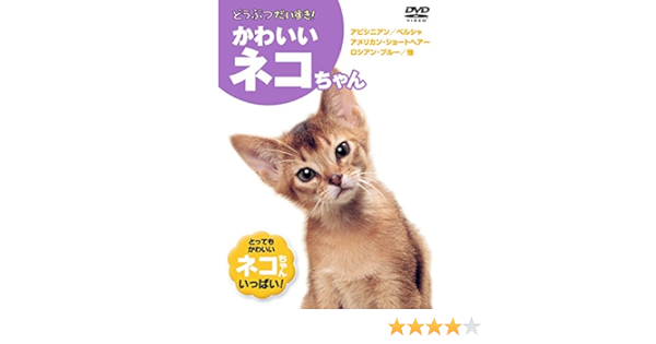 Amazon Co Jp かわいいネコちゃん Kid 1302 Dvd Dvd ブルーレイ ヒマラヤン ラグドール ペルシャ ロシアン ブルー ベンガル ソマリ アメリカン ショートヘアー ミケネコ アビシニアン ターキッシュアンゴラ エジプシャン マウ スフィンクス