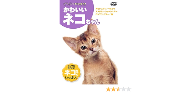 Amazon Co Jp かわいいネコちゃん Kid 1302 Dvd Dvd ブルーレイ ヒマラヤン ラグドール ペルシャ ロシアン ブルー ベンガル ソマリ アメリカン ショートヘアー ミケネコ アビシニアン ターキッシュアンゴラ エジプシャン マウ スフィンクス