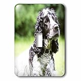 リナピロ – 犬 – Cocker Spaniel。Family Dog。Best Friend。 – 照明スイッチカバー – シングルトグルスイッチ( LSP _ 233893 _ 1 )