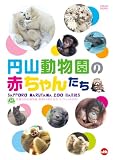 �D�y�s�~�R������ �J��60���N�L�O�I�t�B�V����DVD �~�R�������̐Ԃ���񂽂� SAPPORO MARUYAMA ZOO BABIES