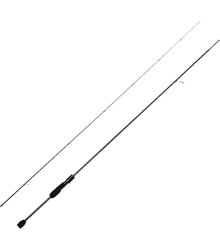 Amazon | AbuGarcia (アブガルシア) Roxani SP 2000SH ロキサーニ