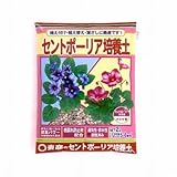 セントポーリアの土 2L