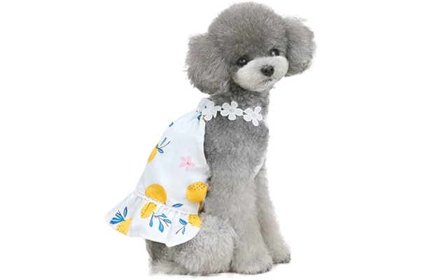 Amazon Co Jp 売れ筋ランキング 犬用ドレス ワンピース の中で最も人気のある商品です