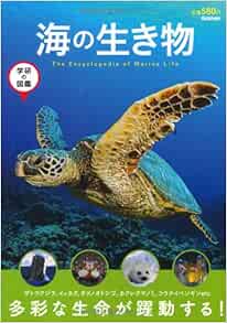 海の生き物 学研の図鑑 忠明 今泉 本 通販 Amazon