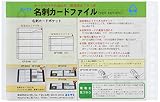 コレクト 名刺カードポケット B6-L 13穴 CF-6100