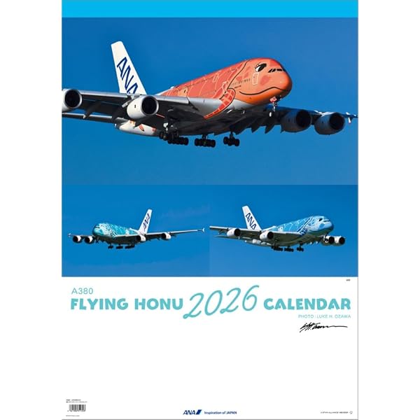 Amazon.co.jp: ANA AIRBUS A380 FLYING HONU (イカロス・ムック) : 本