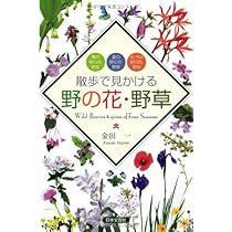 東京四季の花名所図鑑 折々に訪ねる散歩道 Ars books30 婦人画報社 東京四季の花名所図鑑 折々に訪ねる散歩道 Ars books30 婦人画